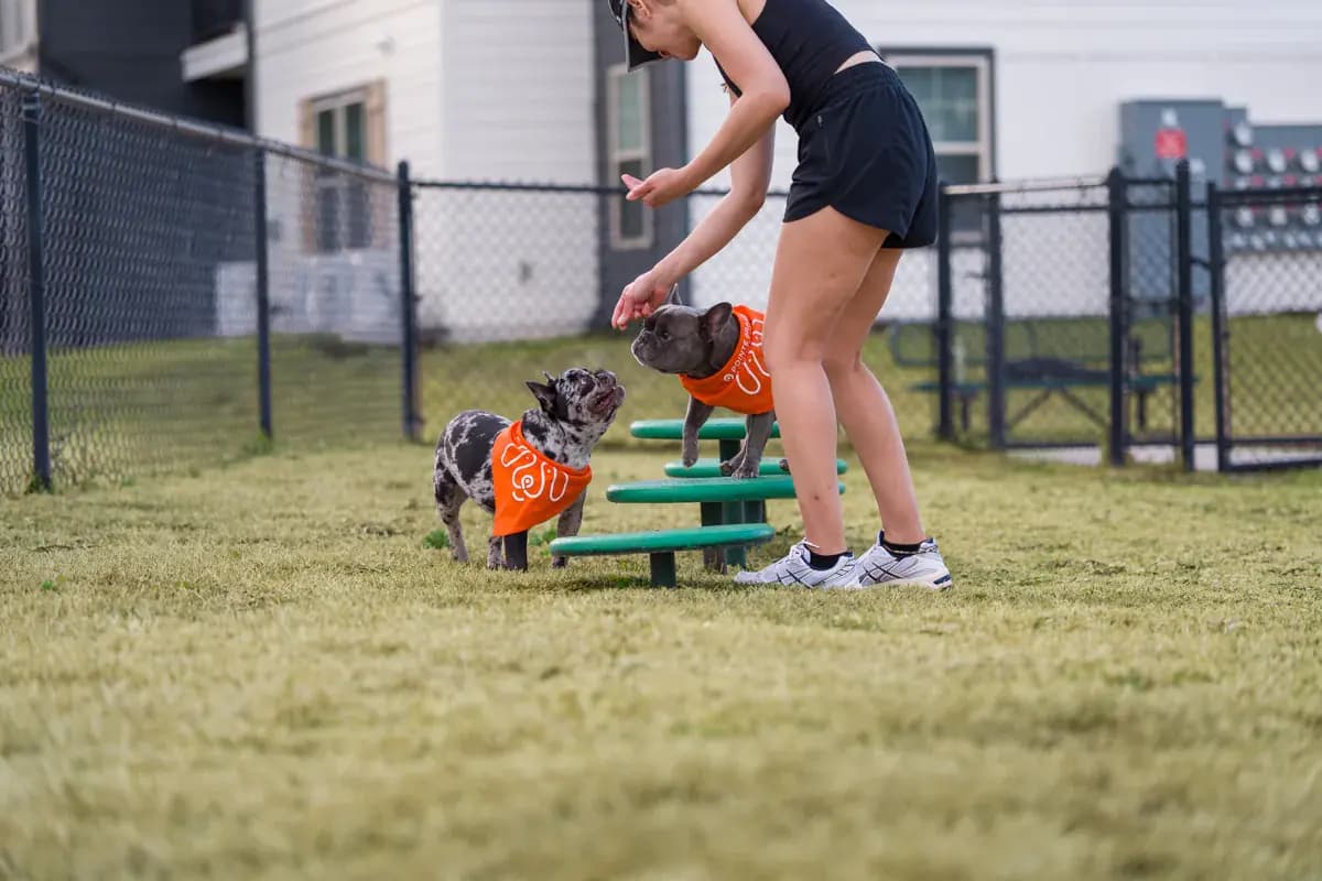 Leash-free bark park at a Pointe Grand community